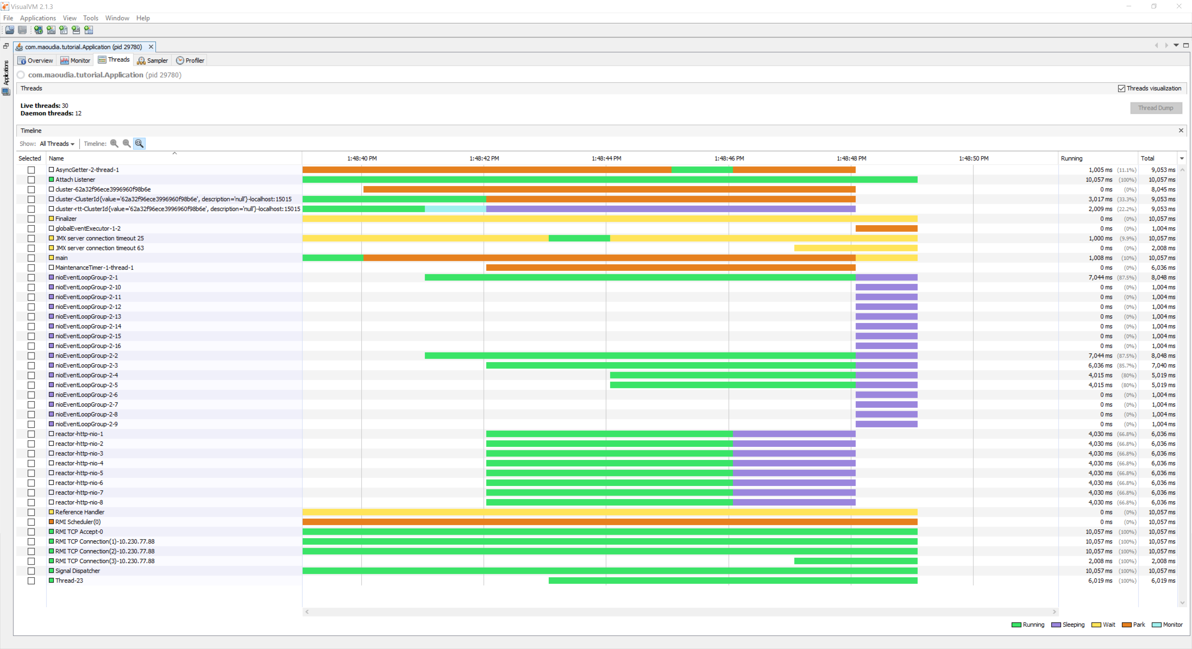 rapport VisualVM